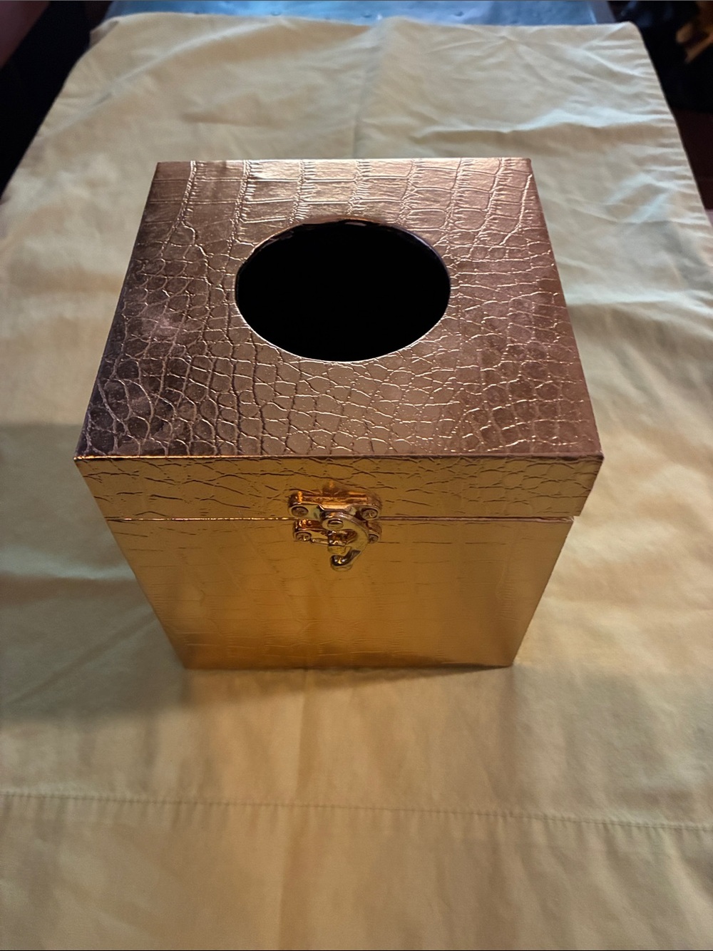 Gold Colored Snake Patterned Tissue Holder W/Latch.